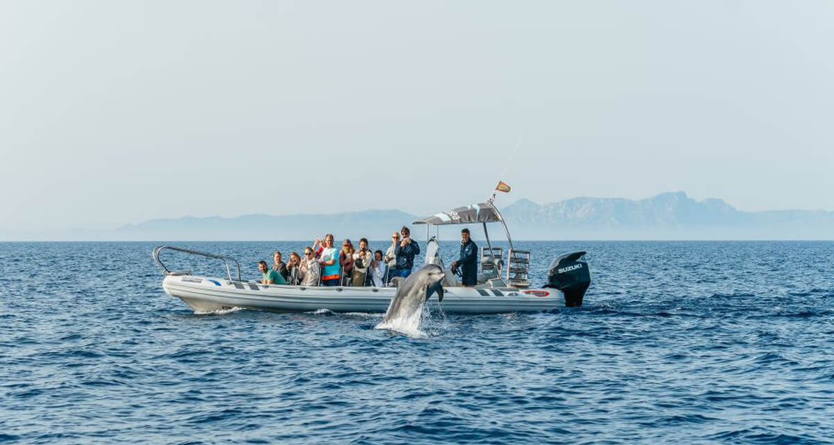 Výlet za delfíny na člunu z Port d´Alcudia